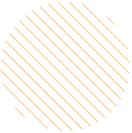 Digital marketing expert in kochi